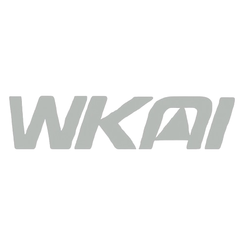 ChatGPT_Image_2025年11月13日_17_17_03-removebg-preview